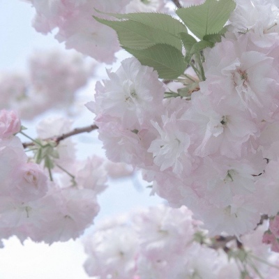 商洛FurryQQ群介绍